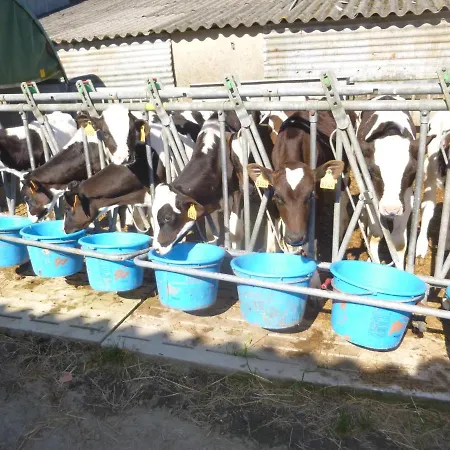 Bed & Breakfast Chambres A La Ferme Keramis