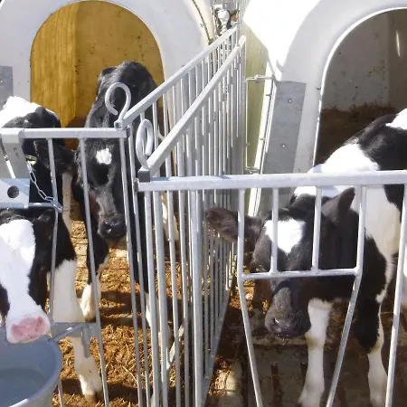 Chambres A La Ferme Keramis Bed & Breakfast Plougar